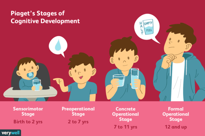 Piaget-stages-of-cognitive-development